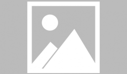 娱乐圈吃瓜爆料西瓜,西瓜爆料的甜蜜风暴