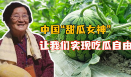 爆料中国吃瓜视频大全,热门事件背后的娱乐狂欢